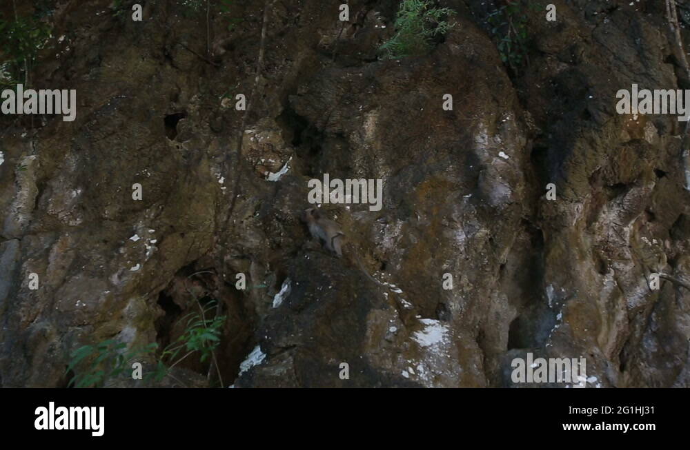 Cliff needle Stock Videos & Footage HD and 4K Video Clips Alamy