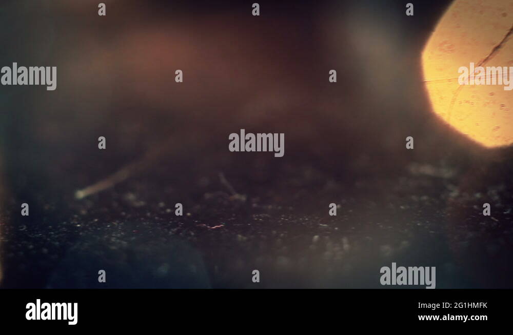 Shimmering lights Stock Videos & Footage HD and 4K Video Clips Alamy