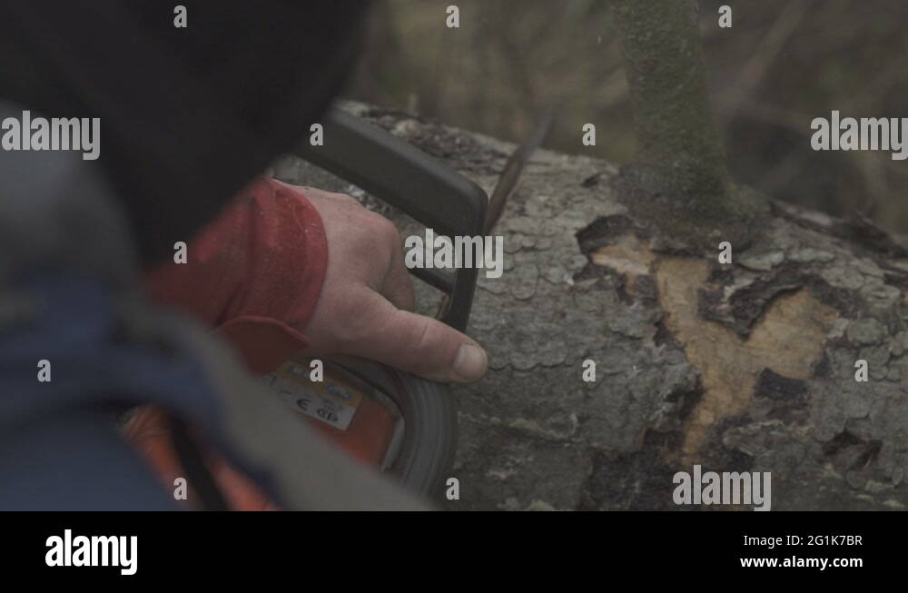 Chainsaw blade Stock Videos & Footage HD and 4K Video Clips Alamy