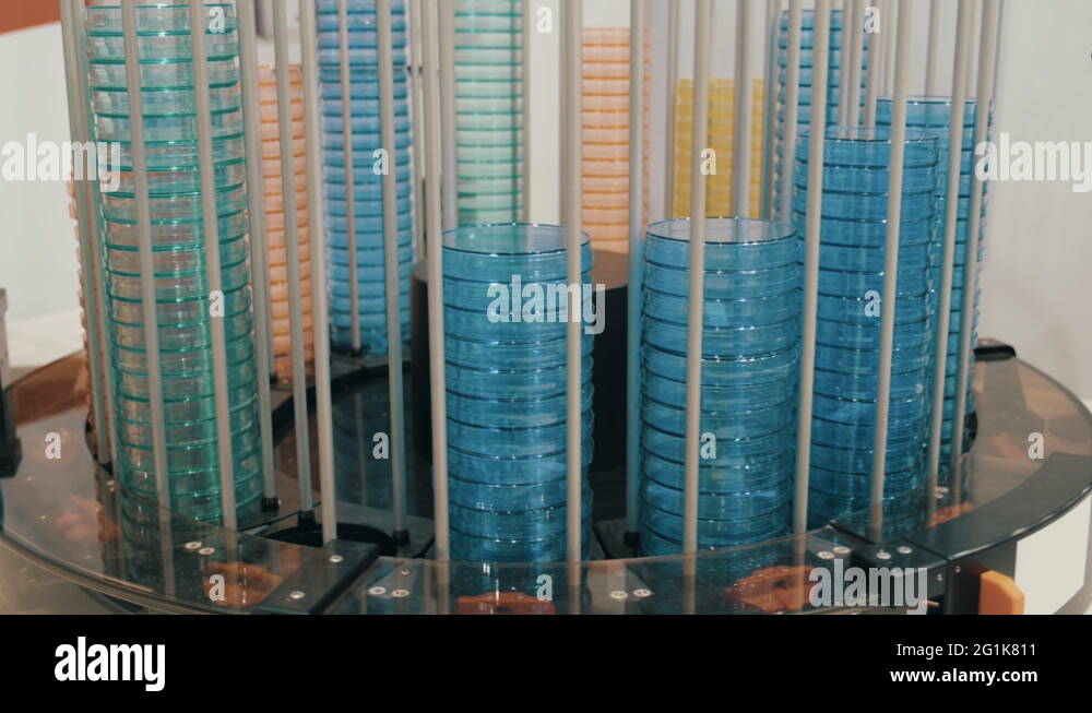 Listeria and petri dish Stock Videos & Footage HD and 4K Video Clips