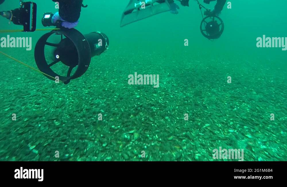 Underwater scooters Stock Videos & Footage - HD and 4K Video Clips - Alamy