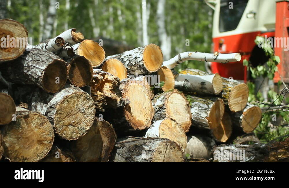 Round logs stacked stack Stock Videos & Footage - HD and 4K Video Clips ...