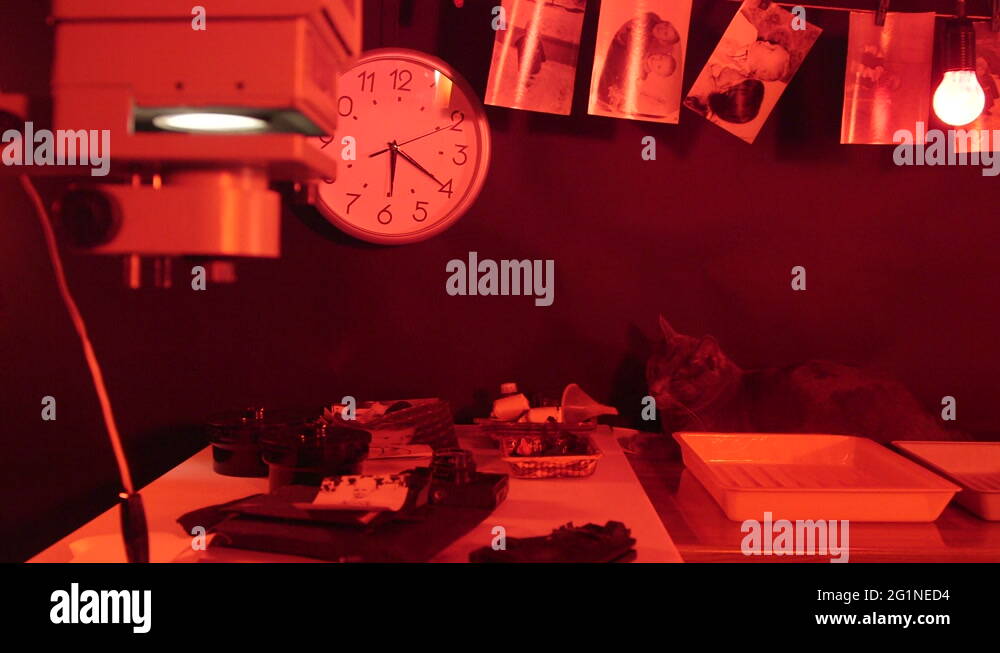 Room Layout Stock Videos Footage HD And 4K Video Clips Alamy room-layout-stock-videos-footage-hd-and-4k-video-clips-alamy