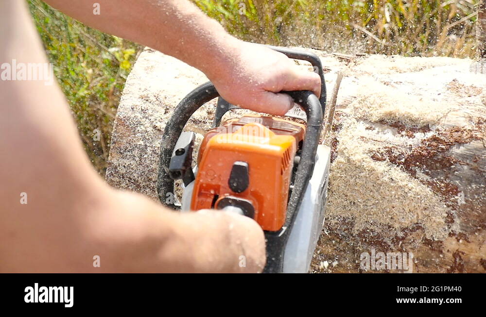 Cutting through wood with chainsaw Stock Video Footage Alamy