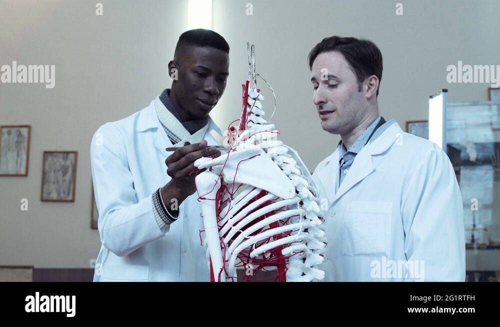 Standing anatomy Stock Videos & Footage - HD and 4K Video Clips - Alamy