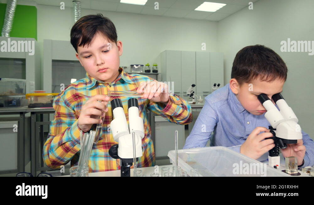 Elementary school science equipment Stock Videos & Footage HD and 4K