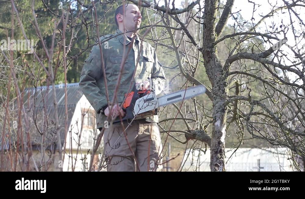 Pruning Trees and shrubs Stock Video Footage Alamy