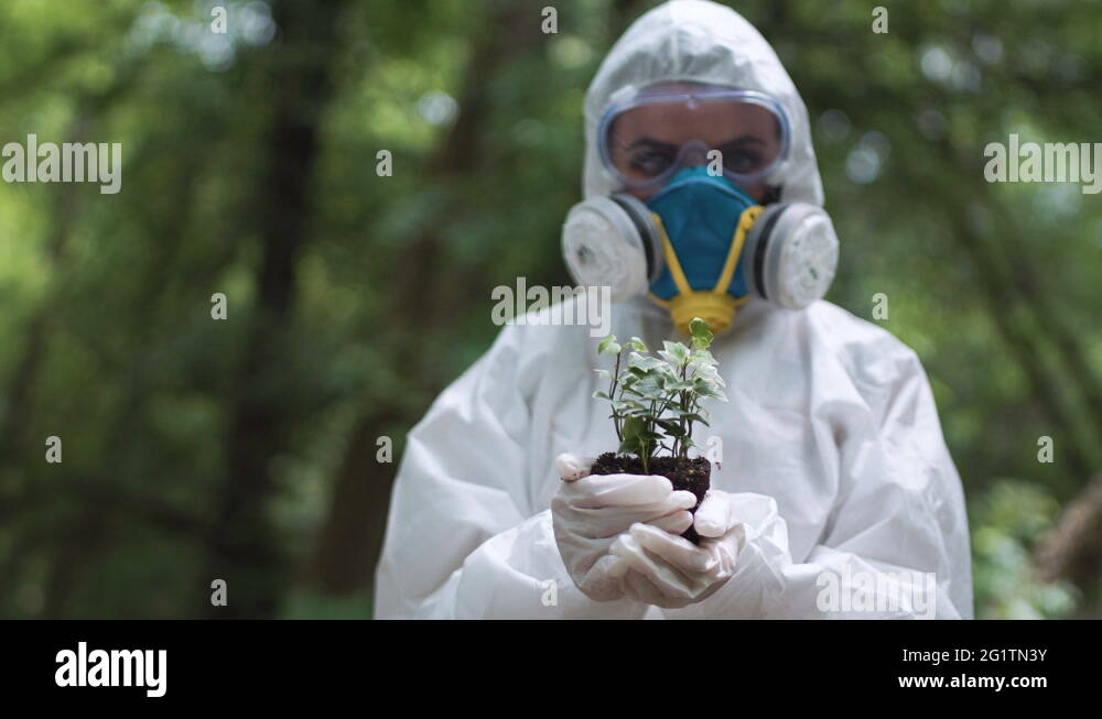 Plant ecologist Stock Videos & Footage HD and 4K Video Clips Alamy
