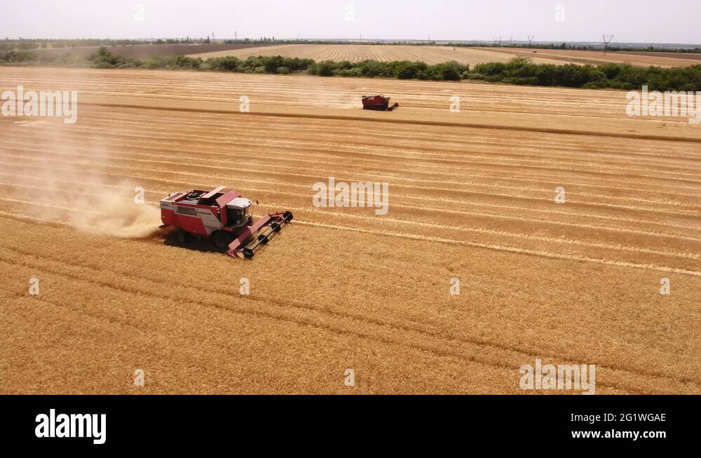 Ukraine wheat combine Stock Videos & Footage HD and 4K Video Clips