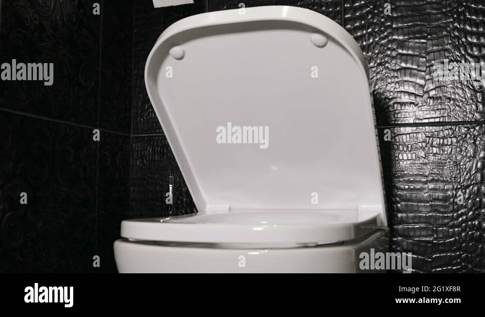 Toilet lid open Stock Videos & Footage HD and 4K Video Clips Alamy