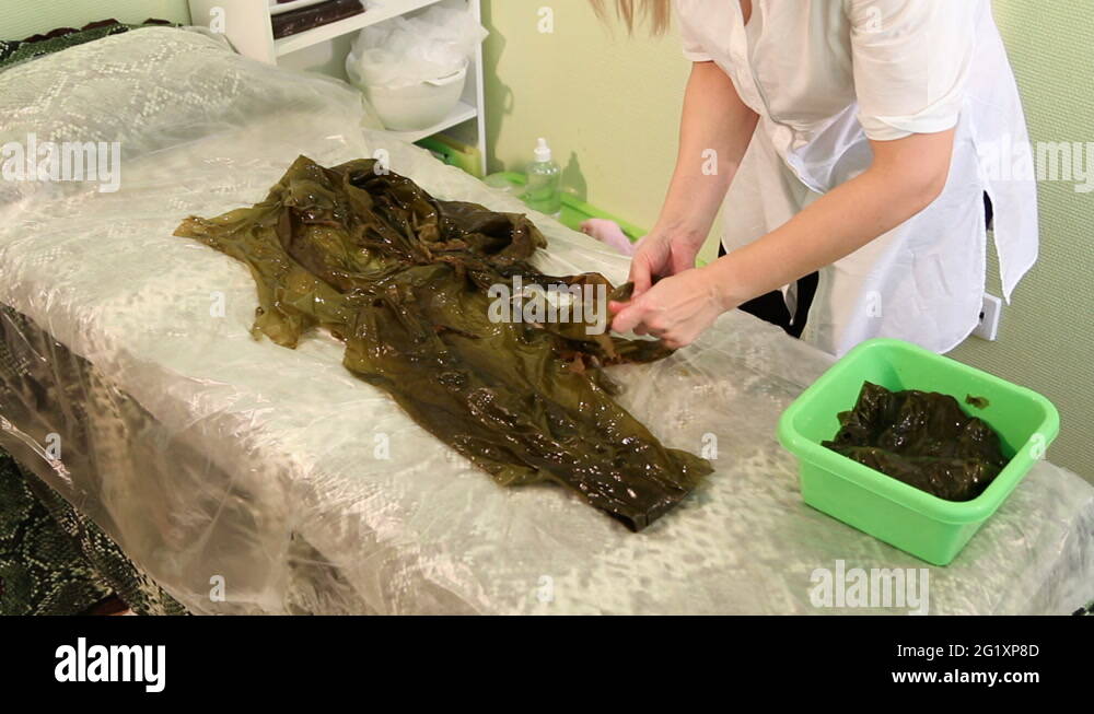 Seaweed spa. Preparation of laminaria algae to the procedure