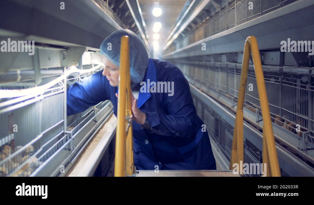 Gallery image with a fresh perspective