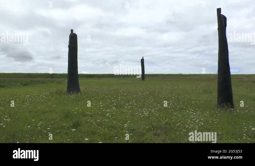 Constellation de la douleur constellation Stock Videos & Footage HD