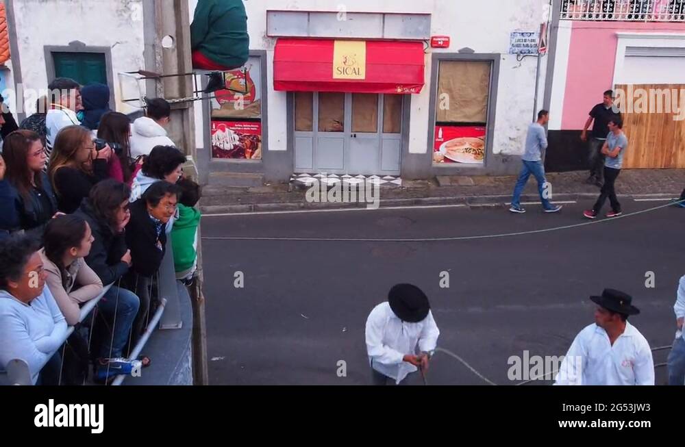 Tourada a corda Stock Videos & Footage HD and 4K Video Clips Alamy