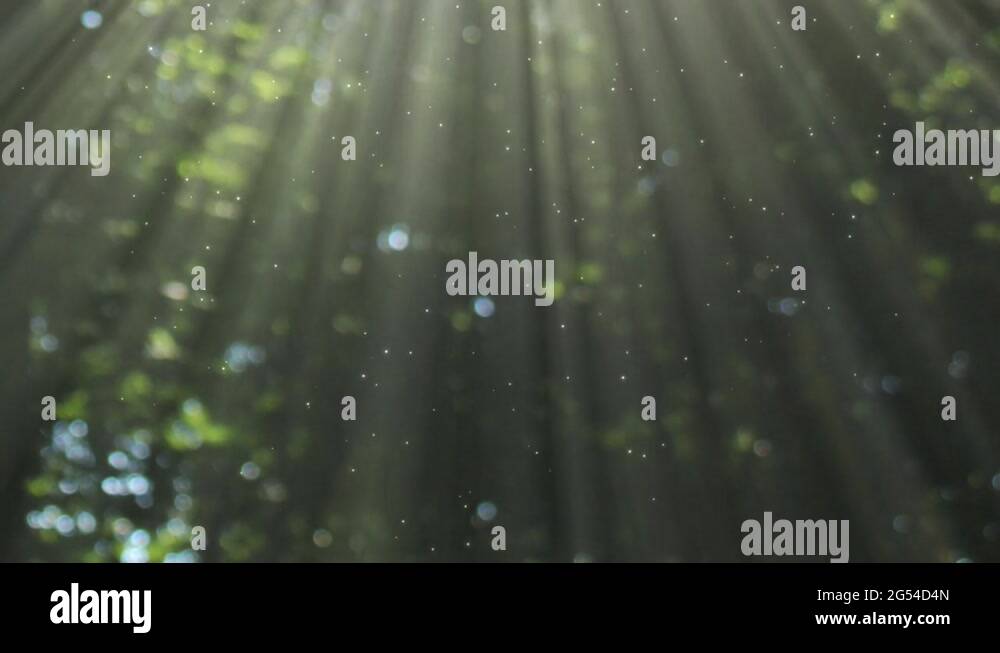 Light Rays Background Loop Stock Video Footage - Alamy