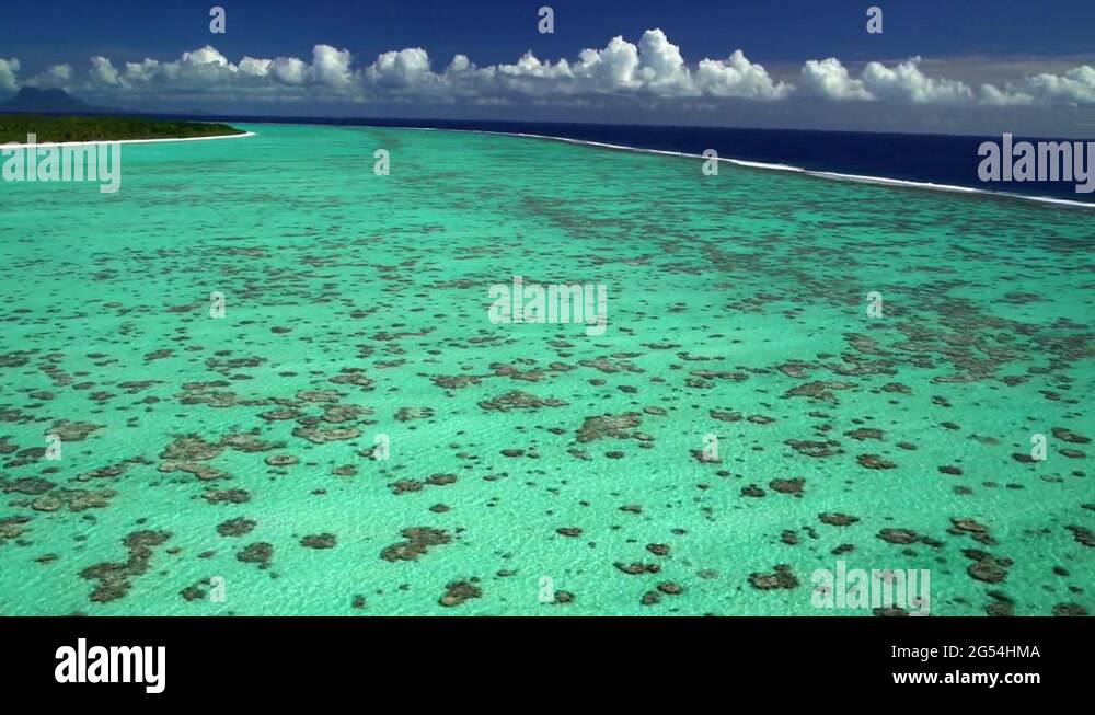 Tupai bora bora Stock Videos & Footage HD and 4K Video Clips Alamy