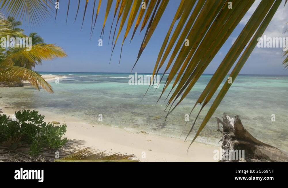  Dominican republic landscape Stock Videos & Footage - HD and 4K Video Bildidee 