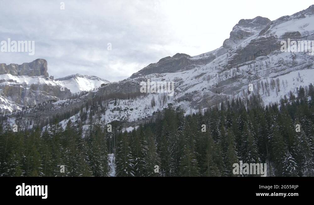 Fir tree forest at a mountain base Stock Video Footage Alamy