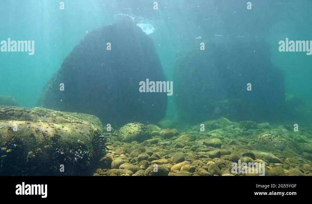 Underwater plot Stock Videos & Footage HD and 4K Video Clips Alamy