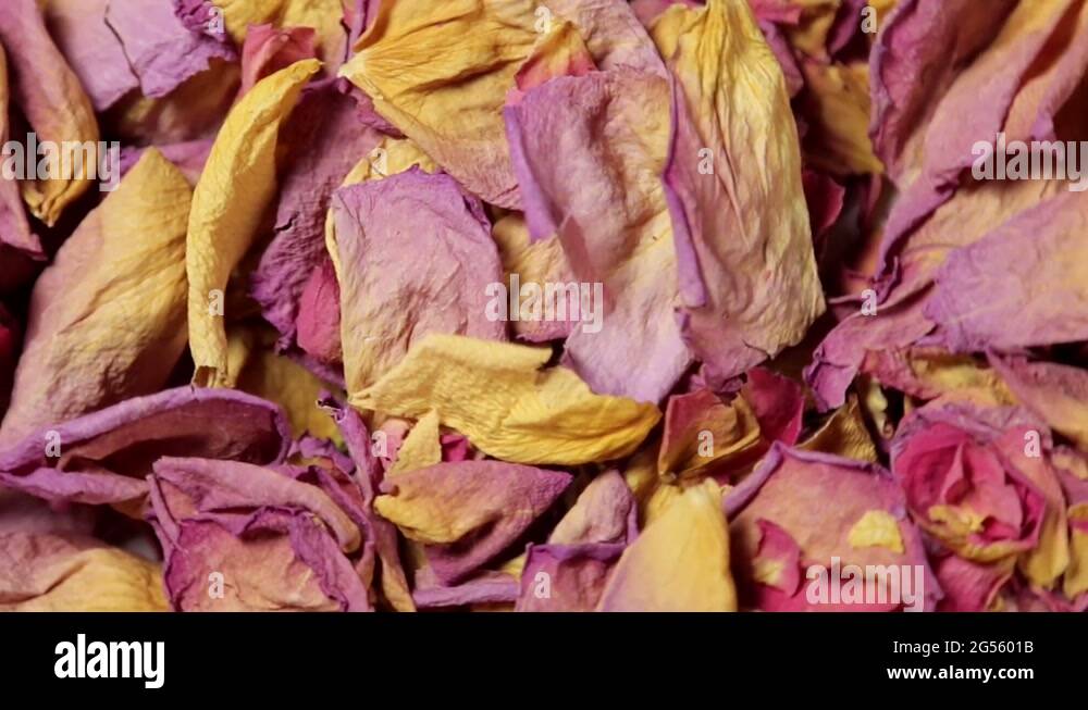different-color-roses-stock-videos-footage-hd-and-4k-video-clips