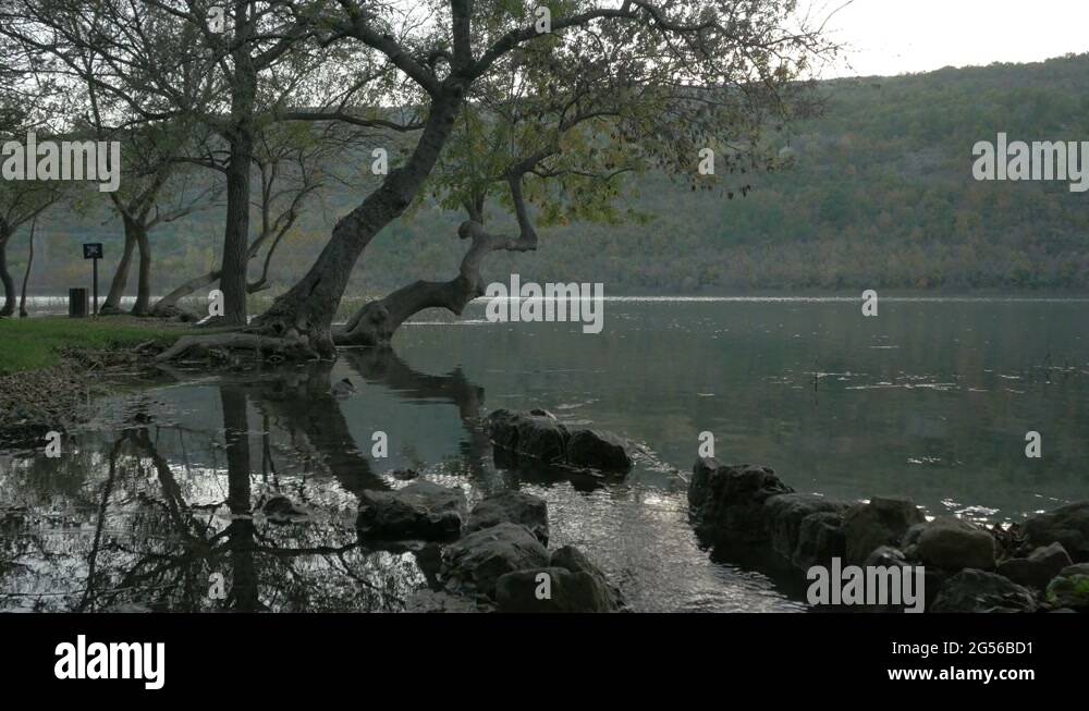 Belt of trees Stock Videos & Footage HD and 4K Video Clips Alamy