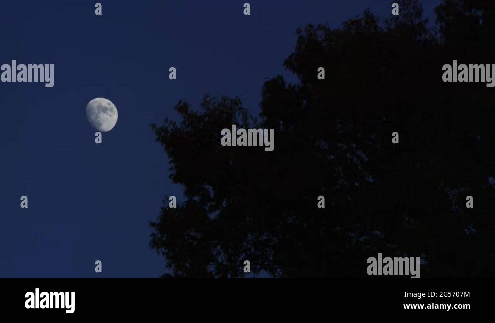 Waxing gibbous Stock Videos & Footage HD and 4K Video Clips Alamy