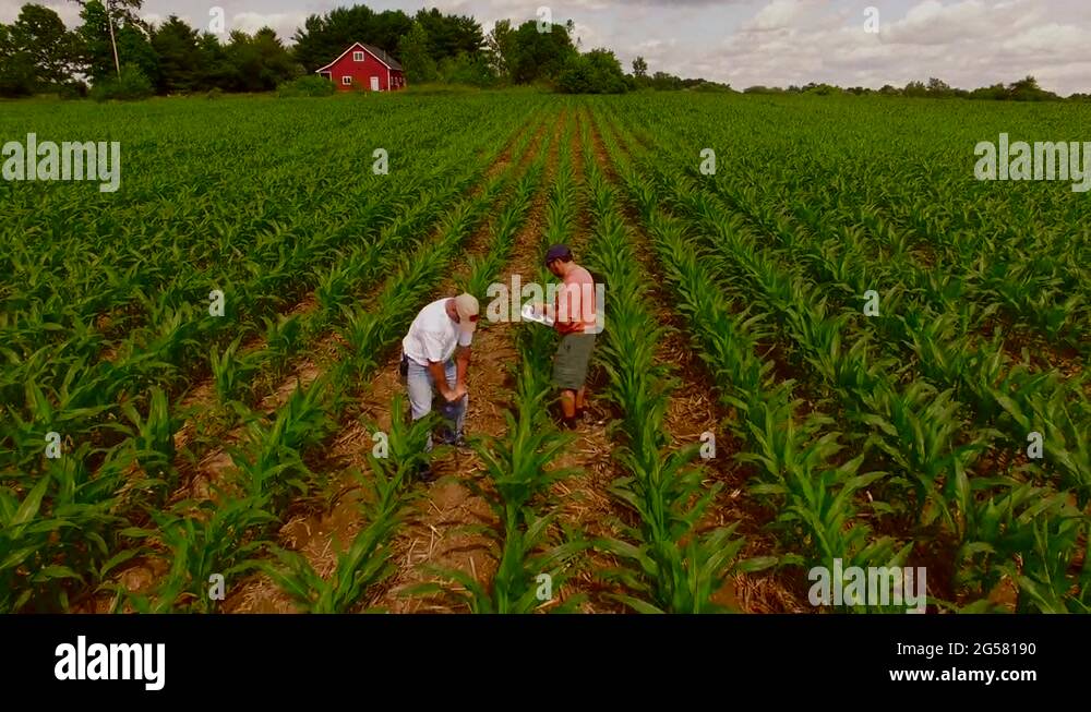 Tickets & Pricing visual data 4