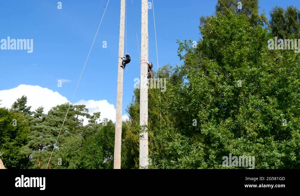 Tree climbing competition lumberjack Stock Videos & Footage HD and 4K
