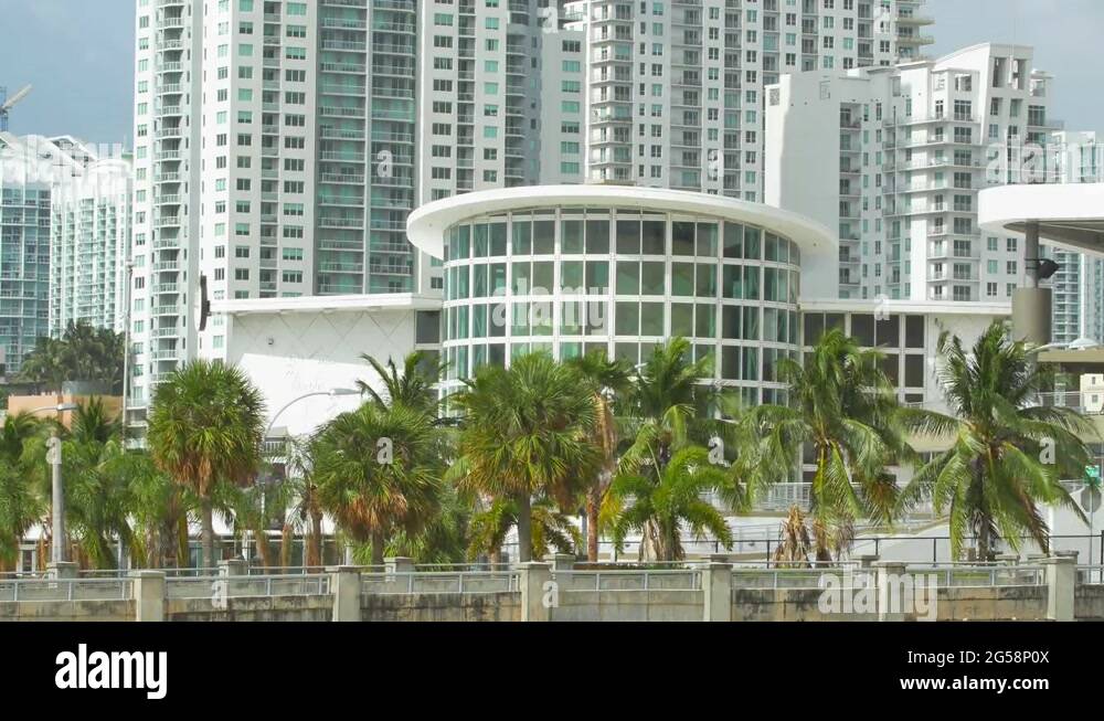 Bongos Stock Videos & Footage HD and 4K Video Clips Alamy