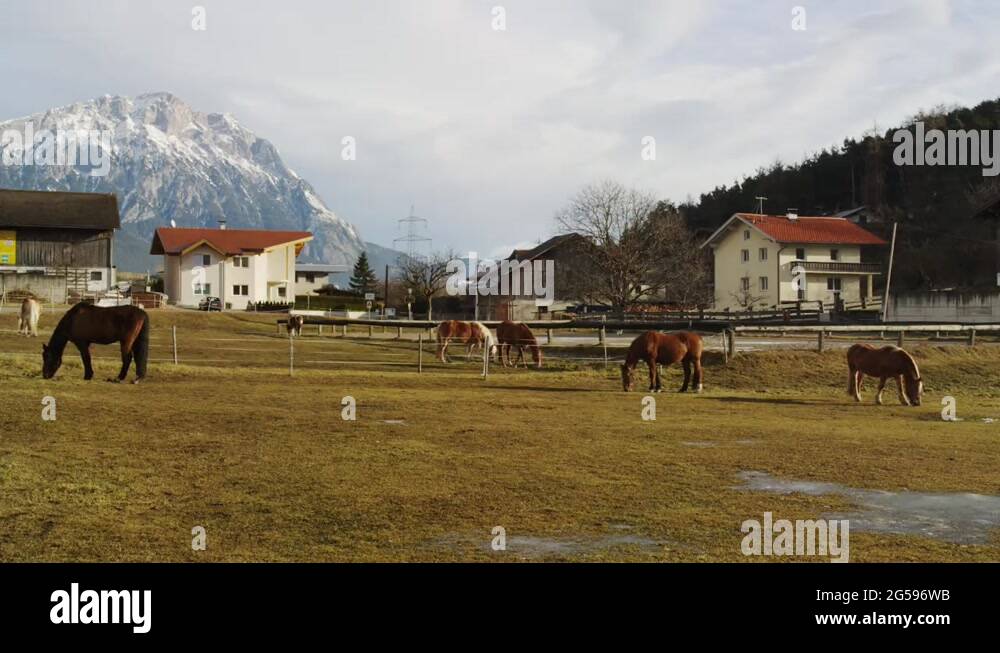 Tirol farm Stock Videos & Footage - HD and 4K Video Clips - Alamy
