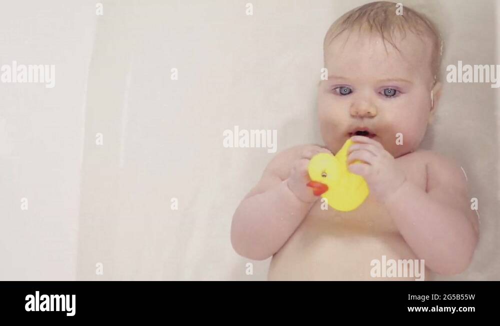 Baby duck bath Stock Videos & Footage - HD and 4K Video Clips - Alamy
