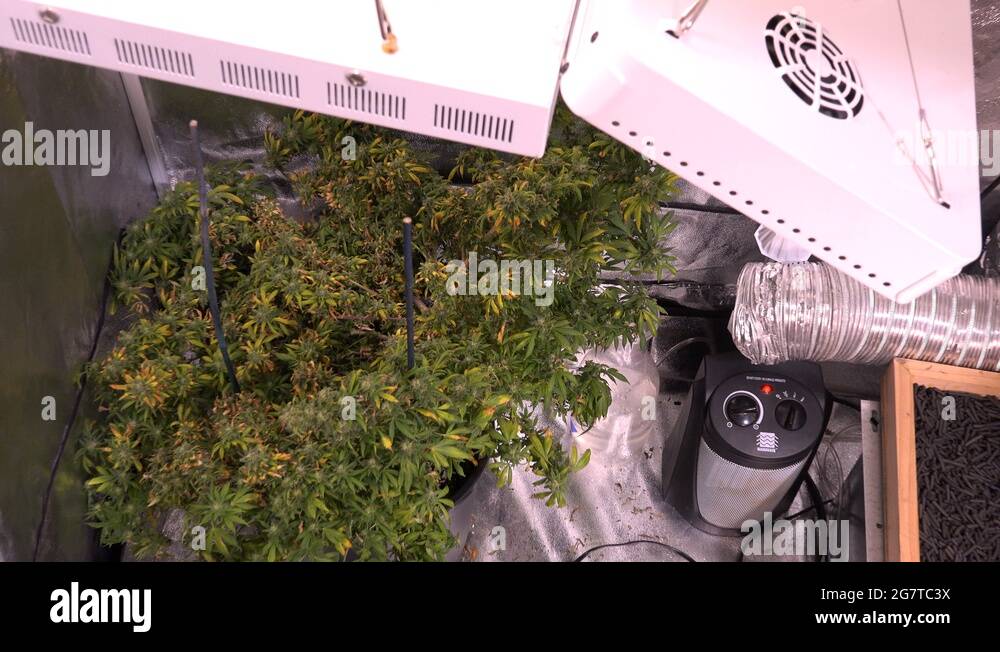 Adequate lighting Stock Videos & Footage HD and 4K Video Clips Alamy