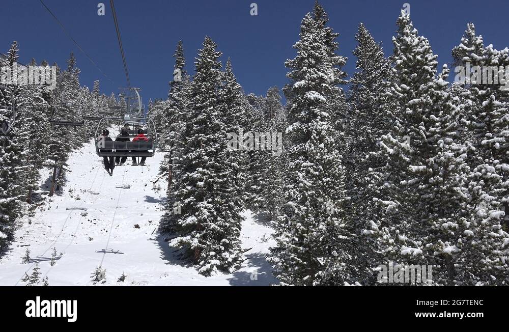 Snow lift skiers trees mountain cables Stock Videos & Footage HD and
