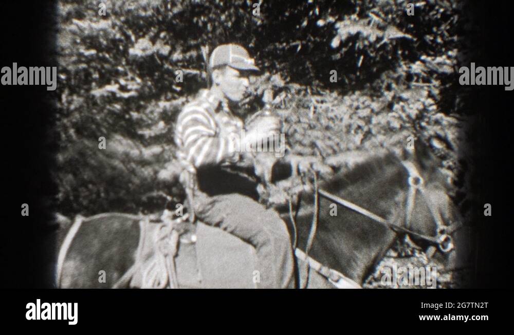 A drunk horse Stock Videos & Footage HD and 4K Video Clips Alamy