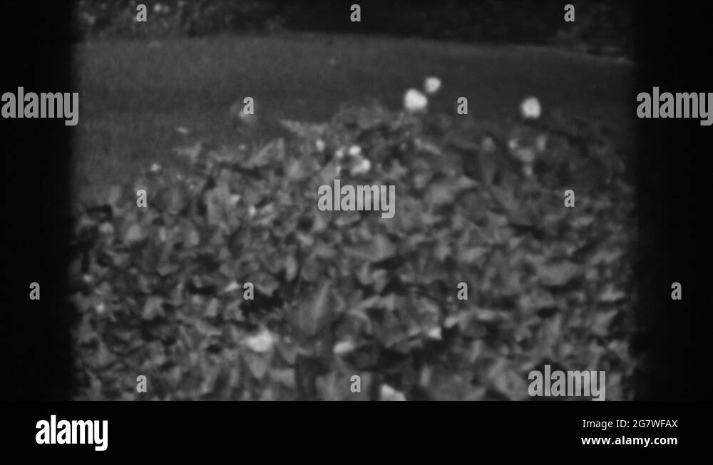 Vineland new jersey Stock Videos & Footage HD and 4K Video Clips Alamy