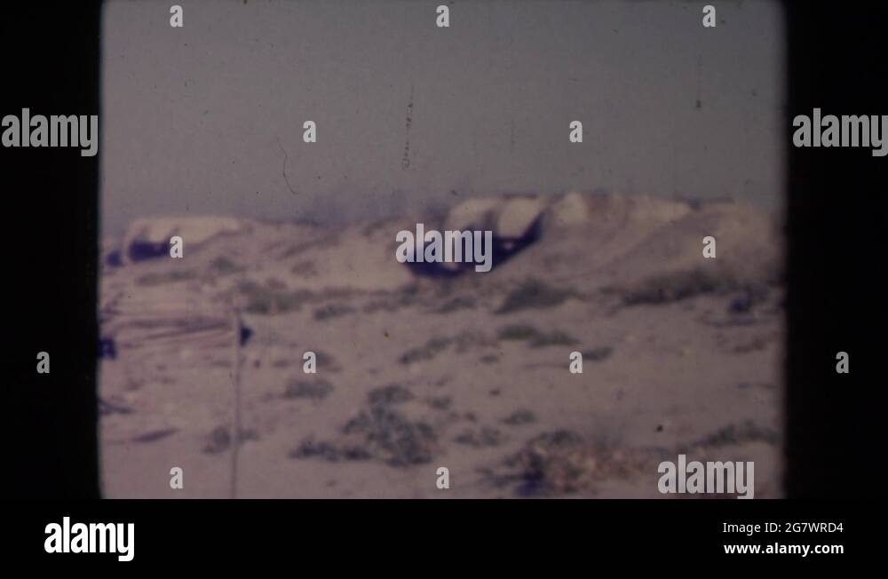 Little foliage Stock Videos & Footage HD and 4K Video Clips Alamy