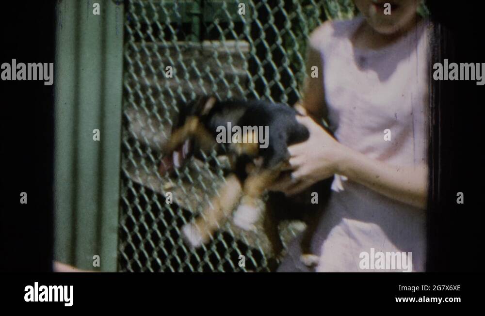 Girl dog bite Stock Videos & Footage HD and 4K Video Clips Alamy