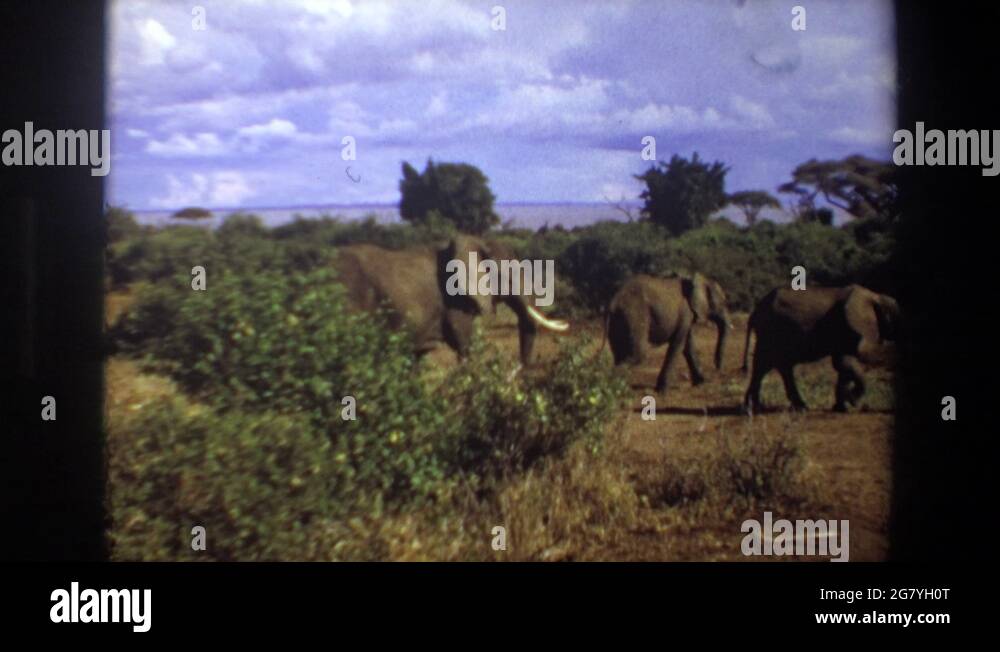 South africa food processing Stock Videos & Footage HD and 4K Video