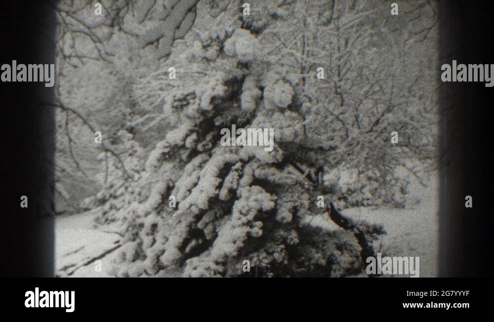 MARTINSBURG WEST VIRGINIA1938 The Secretive White Forest With