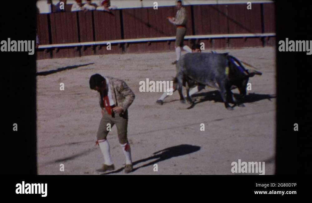 Bull tail Stock Videos & Footage - HD and 4K Video Clips - Alamy