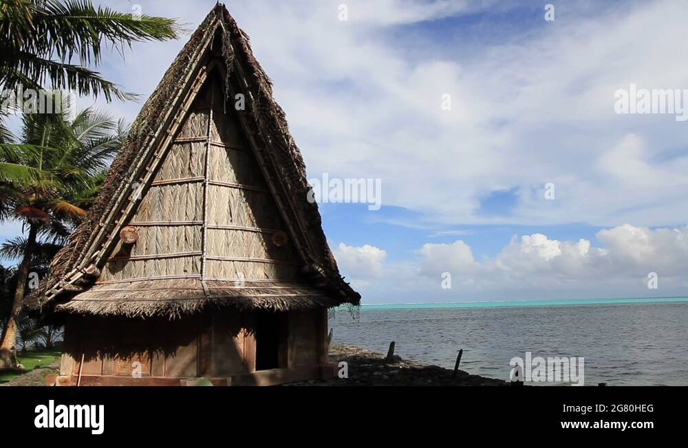 Mens House Stock Videos Footage Hd And 4k Video Clips Alamy