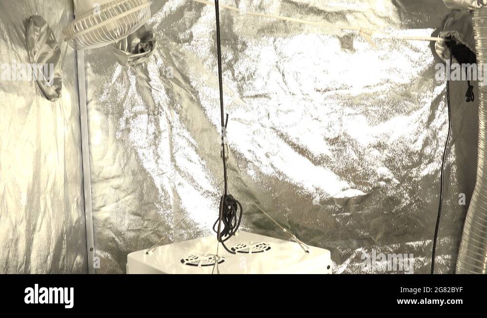 Being suspended Stock Videos & Footage HD and 4K Video Clips Alamy