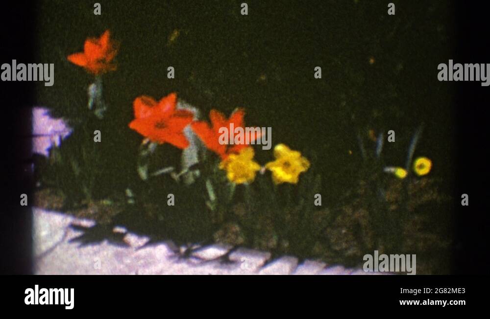 Green clarendon Stock Videos & Footage HD and 4K Video Clips Alamy