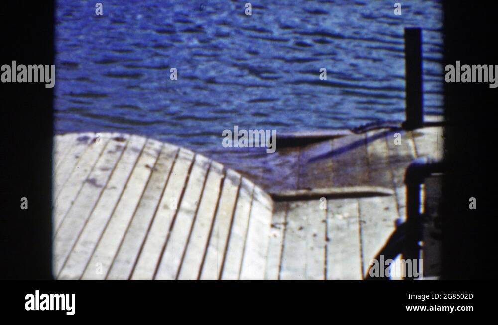 Otters body Stock Videos & Footage - HD and 4K Video Clips - Alamy