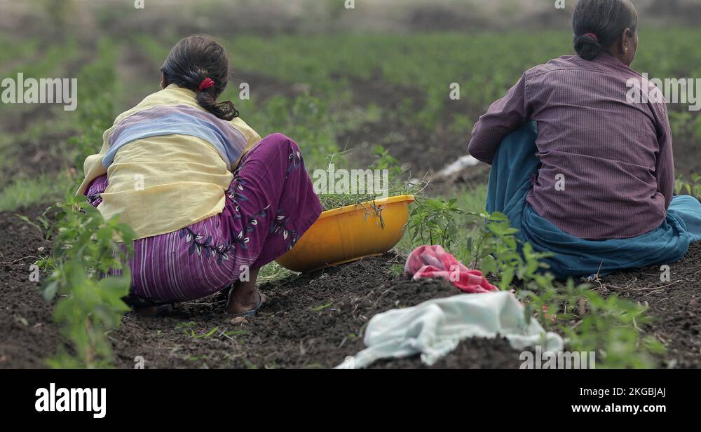 Pune market is a sprawling city in the Indian state of Maharashtra