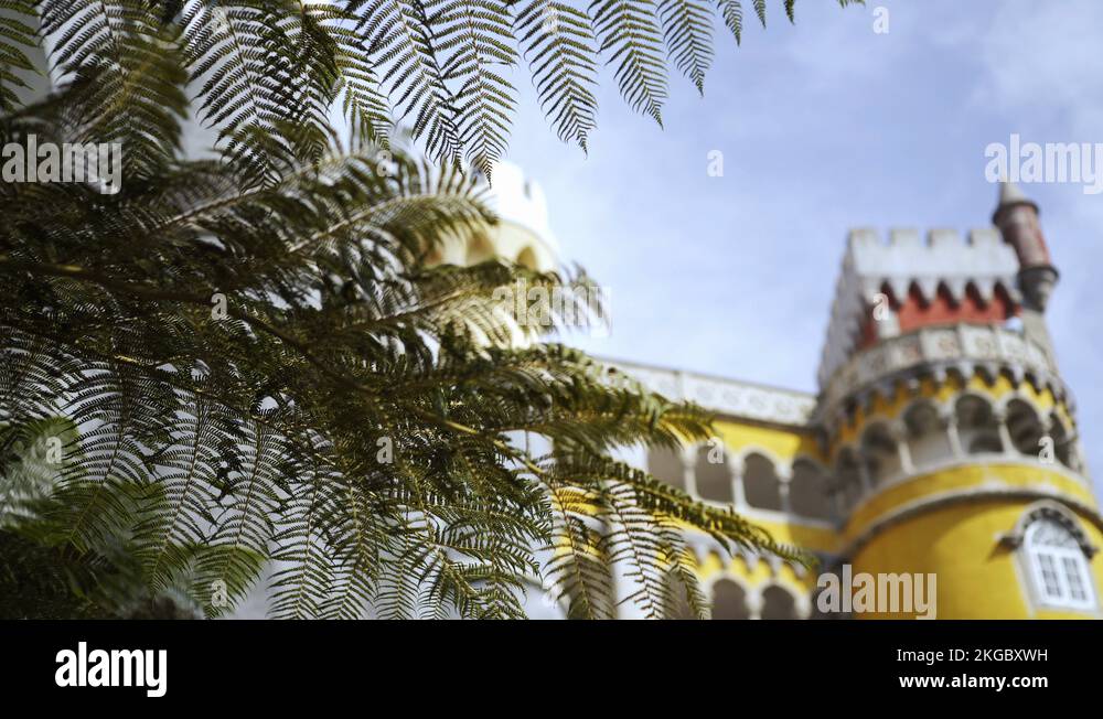 Trees and walls Stock Videos & Footage HD and 4K Video Clips Alamy