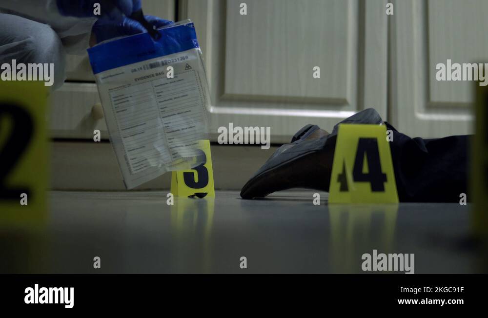 CSI Seal Evidence Bag, Crime Scene With Dead Body, Murder Victim, 4K