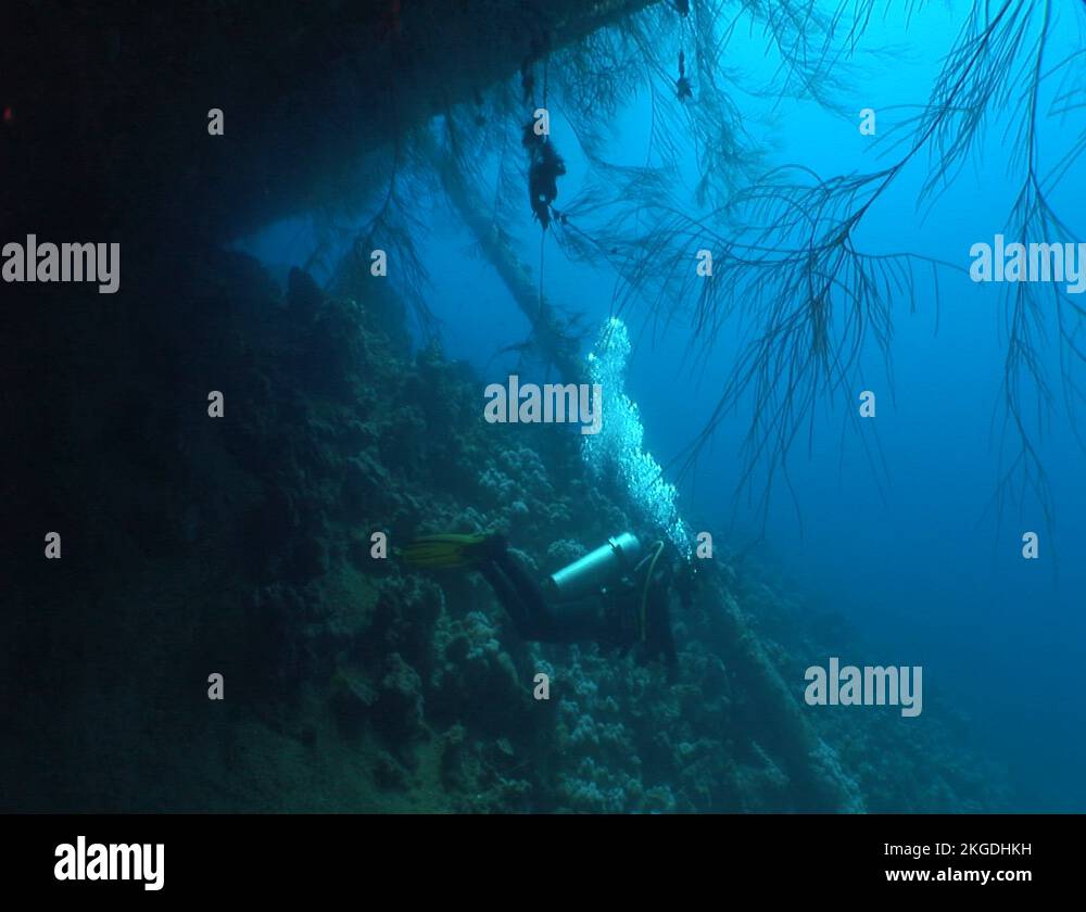 swimming under shipwreck underwater ship wreck cedar pride Stock Video ...