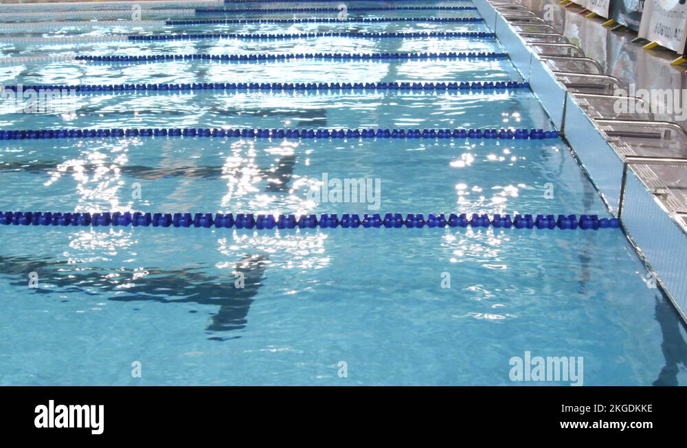Swimmers in a swimming competition in the crawl style Stock Video Footage Alamy