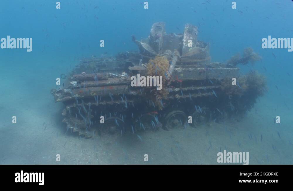 Broken fish tank Stock Videos & Footage HD and 4K Video Clips Alamy